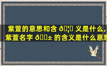 紫萱的意思和含 🦄 义是什么,紫萱名字 🐱 的含义是什么意思
